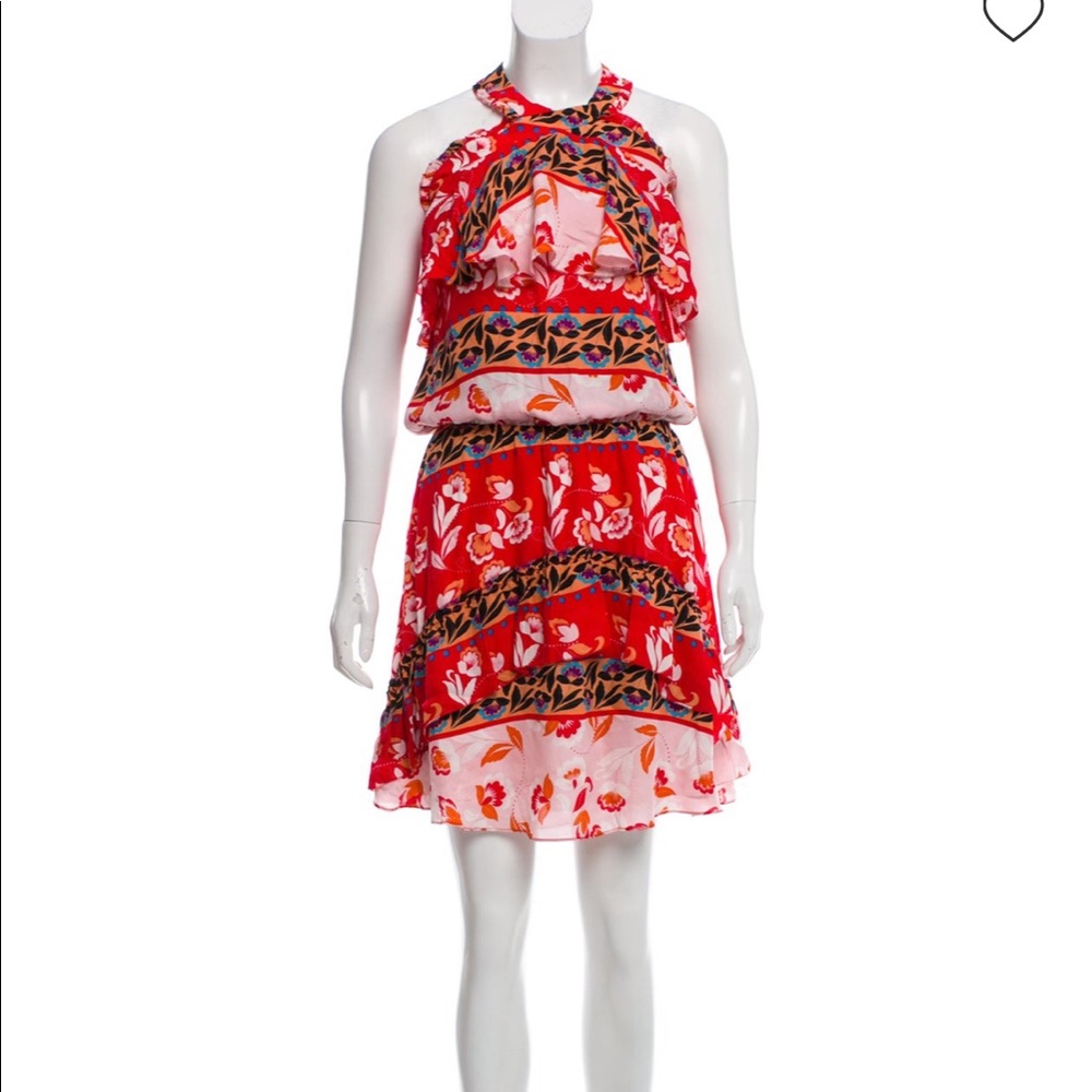 Parker Silk Dress ... worn once